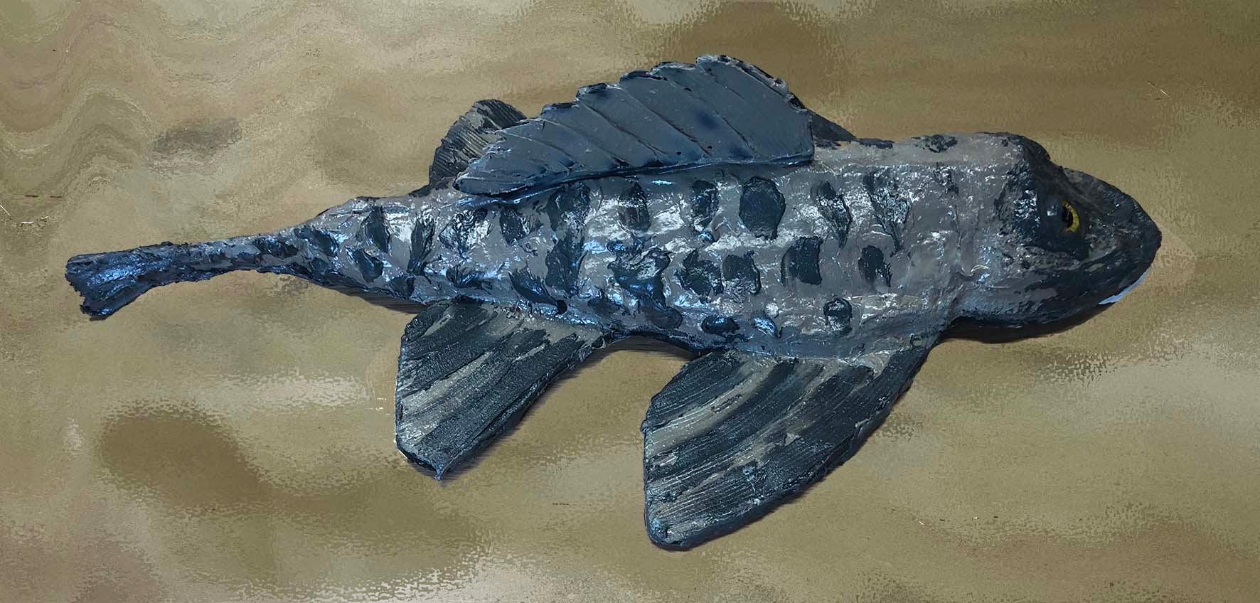 A model suckerfish that is grey and has darker spots